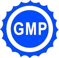 GMP 标准
